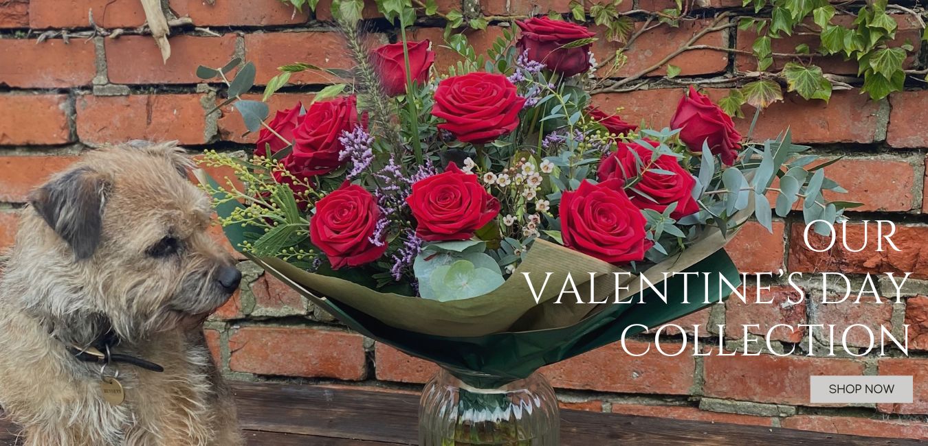 Valentines Collection of Red Roses, Pink Roses, chocolate wine and champagne 